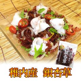 稚内産 銀杏草100ｇ（生冷凍）