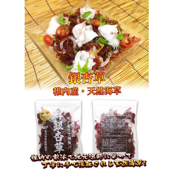 稚内産 銀杏草100ｇ（生冷凍）02