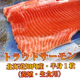 北海道知内産 トラウトサーモン 半身１枚（養殖・生食用）