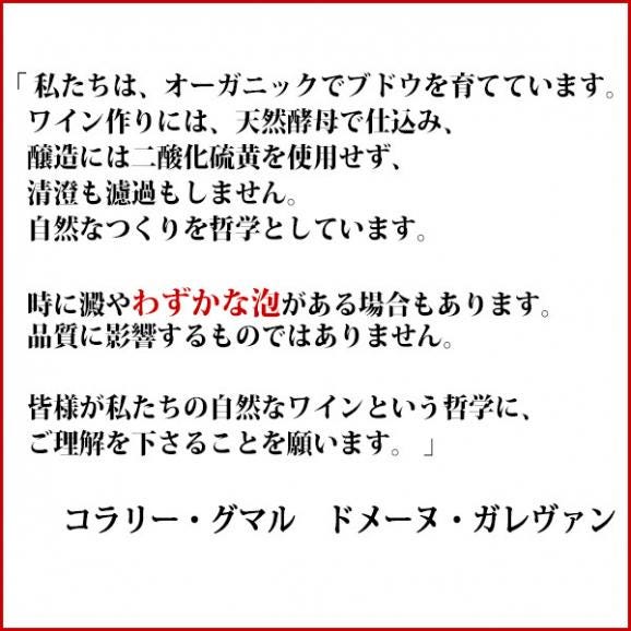 2020 シャトーヌフ デュ パプ ルージュ BIO 750ml ドメーヌ ガレヴァン ローヌ フランス 赤ワイン コク辛口 ワイン ^C0GVCP20^02