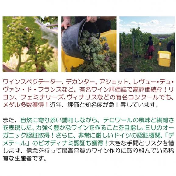 2020 ゲヴェルツトラミネール アメリー 750ml ヴィニョーブル デ ドゥ リュンヌ 白ワイン フルーティーな辛口 ワイン ^D0BUGA20^05
