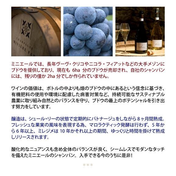 シャンパーニュ ミニエール アンフリュアンス ブリュット ロゼ 箱なし 750ml フレデリック＆ロドルフ ミニエール (シャンパン フランス シャンパーニュ) 白泡 コク辛口 ^VAMN16Z0^03