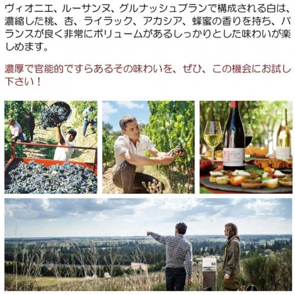 2024 コスティエール ド ニーム ブラン レ ガレ ドレ BIO 750ml シャトー ムルギュ デュ グレ モルギュ ローヌ フランス 白ワイン コク辛口 ^C0MGGW24^04