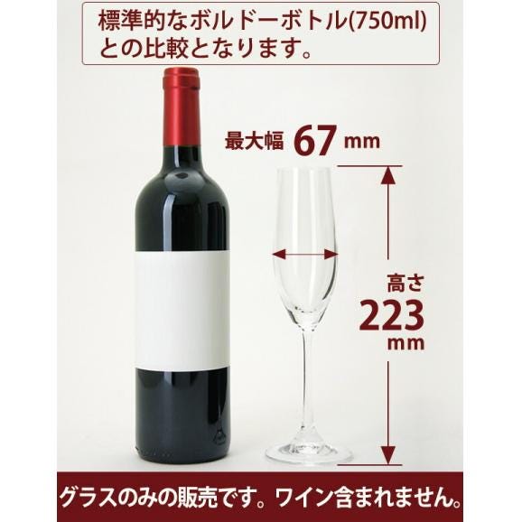 ◇B07 G＆C デギュスタシオン シャンパーニュ B07  ノンレッド クリスタル グラス ワイン ^ZCGCDE40^02