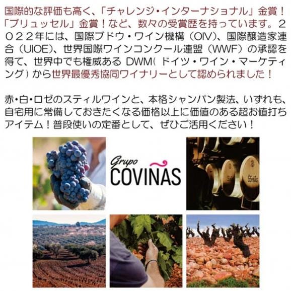【送料無料】４箱セット ボックスワイン 白ワイン 辛口 3000ml&times;4箱 エンテリソ ブランコ バッグ イン ボックス ボデガス コヴィニャス スペイン 箱ワイン ^HJCIBBZ4^06