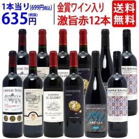 ワイン ワインセット ワイン誌高評価蔵や金賞蔵ワインも入った激旨赤１２本セット 送料無料 (6種類各2本) 飲み比べセット ギフト ^W0AKB6SE^