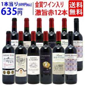 ワイン ワインセット ワイン誌高評価蔵や金賞蔵ワインも入った激旨赤１２本セット 送料無料 (6種類各2本) 飲み比べセット ギフト ^W0AKB6SE^