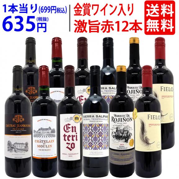 ワイン ワインセット ワイン誌高評価蔵や金賞蔵ワインも入った激旨赤12本セット 送料無料 (6種類各2本) 飲み比べセット ギフト ^W0AKC2SE^01