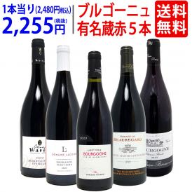 ワイン ワインセット ブルゴーニュ有名蔵 すべて激ウマ赤５本セット 送料無料 飲み比べセット ギフト ^W0B576SE^