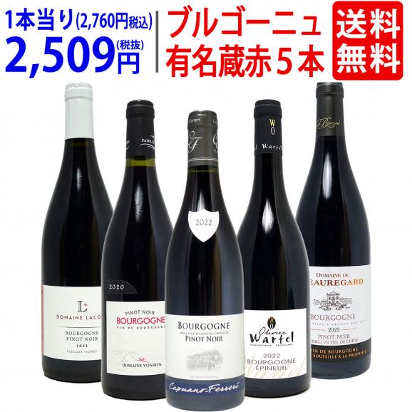ワイン ワインセット ブルゴーニュ有名蔵 すべて激ウマ赤５本セット 送料無料 飲み比べセット ギフト ^W0B580SE^01