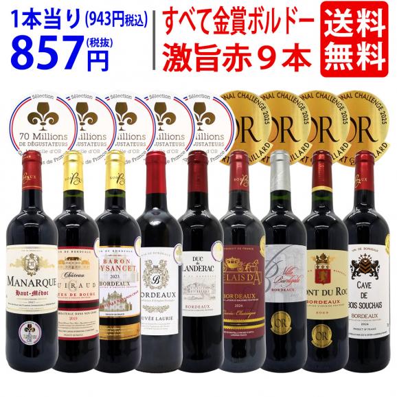 ワイン ワインセット すべて金賞ボルドー激旨赤９本セット 送料無料 飲み比べセット ギフト ^W0G997SE^01