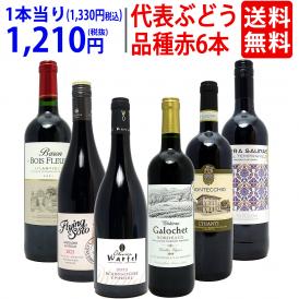 ワイン ワインセット 代表ぶどう品種赤６本セット 送料無料 飲み比べセット ギフト ^W0S1A8SE^
