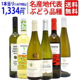 ワイン ワインセット 名産地 代表ぶどう品種 白６本セット 送料無料 飲み比べセット ギフト ^W0S329SE^