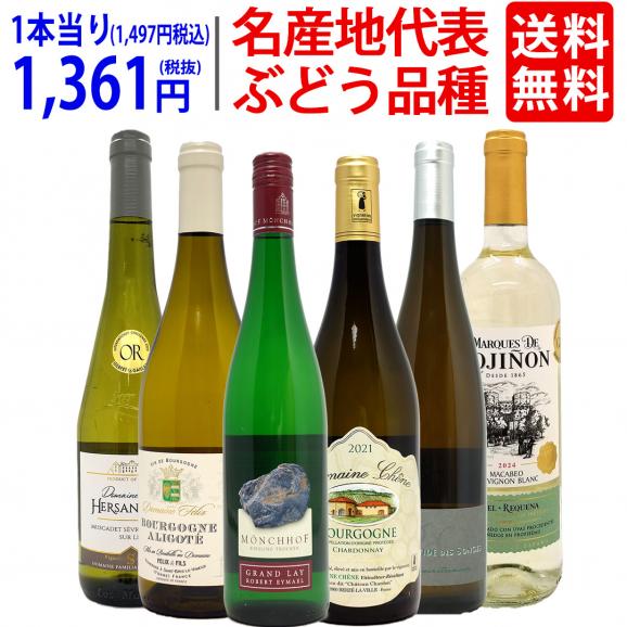 ワイン ワインセット 名産地 代表ぶどう品種 白６本セット 送料無料 飲み比べセット ギフト ^W0S336SE^01