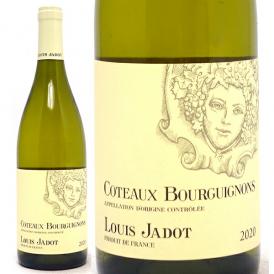 [2020] コトー ブルギニョン ブラン 750ml ルイ ジャド (ブルゴーニュ フランス) 白ワイン コク辛口 ワイン ^B0JLTB20^