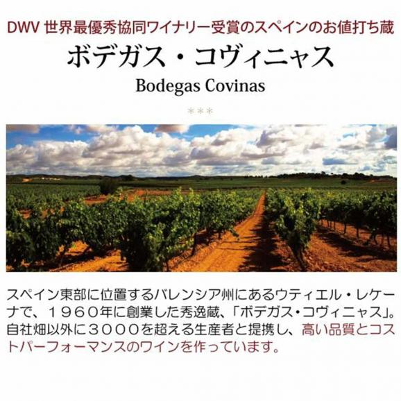 【送料無料】４箱セット ボックスワイン 赤ワイン 辛口 3000ml&times;4箱 エンテリソ ティント バッグ イン ボックス  ボデガス コヴィニャス スペイン 箱ワイン ^HJCIBTZ4^02