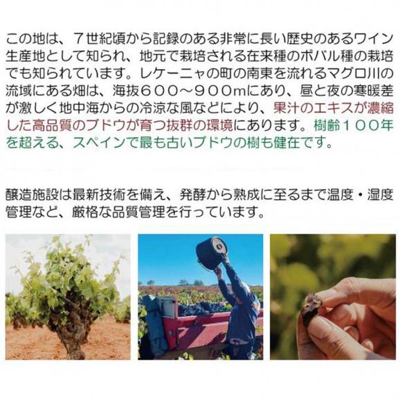 【送料無料】４箱セット ボックスワイン 赤ワイン 辛口 3000ml&times;4箱 エンテリソ ティント バッグ イン ボックス  ボデガス コヴィニャス スペイン 箱ワイン ^HJCIBTZ4^03