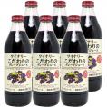 ワイナリー こだわりのグレープジュース 赤 果汁100％ 1000ml ×6本 アルプス ジュース ^30900120^