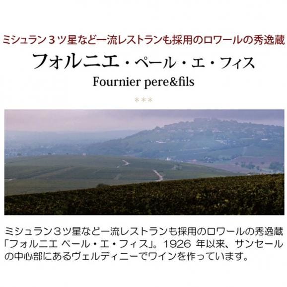 2025 ソーヴィニヨン ブラン F 750ml フォルニエ ペール エ フィス 白ワイン コク辛口 ワイン ^D0FNSV25^02