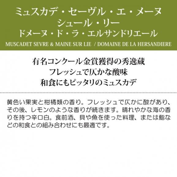 2024 ミュスカデ セーヴル エ メーヌ シュール リー 750ml ドメーヌ ド ラ エルサンドリエール 白ワイン コク辛口 ワイン ^D0HDMC24^04