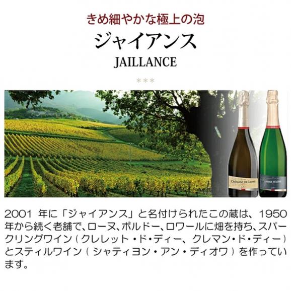 クレマン ド ディー グランド レゼルヴ ブラン ブリュット BIO 750ml ジャイアンス フランス 白泡 コク辛口 ワイン ^VBJCGRZ0^02