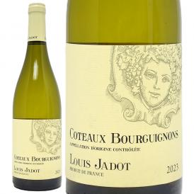 2023 コトー ブルギニョン ブラン 750ml ルイ ジャド ブルゴーニュ フランス  白ワイン コク辛口 ワイン ^B0JLTB23^