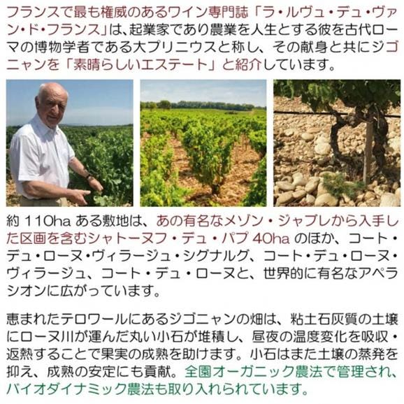 2020 シャトーヌフ デュ パプ ルージュ カルディナリス BIO 750ml シャトー ジゴニャン ローヌ フランス 赤ワイン コク辛口 ^C0GNCR20^04