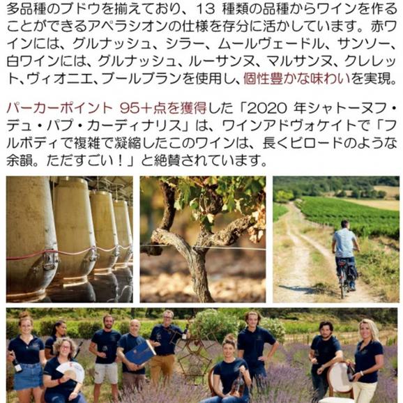 2020 シャトーヌフ デュ パプ ルージュ カルディナリス BIO 750ml シャトー ジゴニャン ローヌ フランス 赤ワイン コク辛口 ^C0GNCR20^05