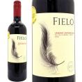 金賞 024 フィエロ カベルネ ソーヴィニヨン 750ml ボデガス タグア タグア チリ 赤ワイン コク辛口 ワイン ^OATGCB24^