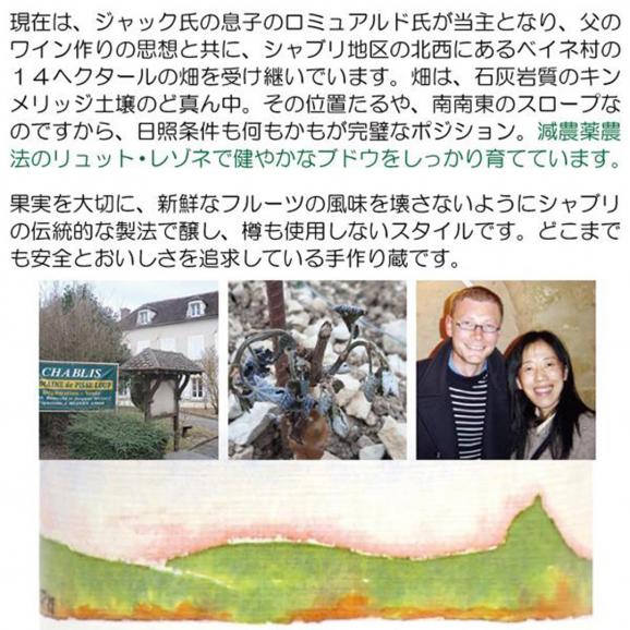 2024 シャブリ 750ml ドメーヌ ド ピス ルー ブルゴーニュ フランス ピス ルゥー 白ワイン コク辛口 ワイン ^B0PSCB24^04