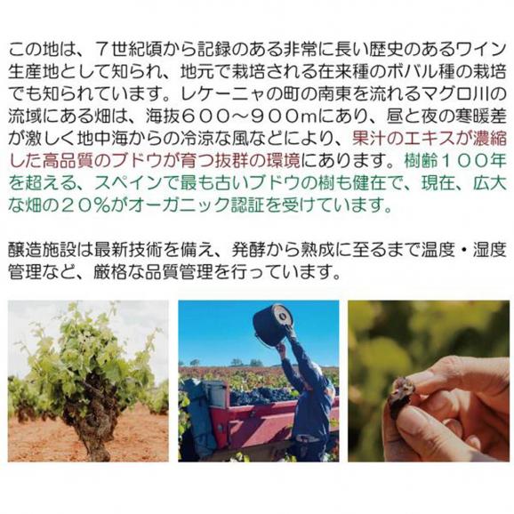 エル フゴン ブランコ 750ml 低アルコール 10% ボデガス コヴィニャス バレンシア スペイン 白ワイン 辛口 ^HJCIJBZ0^03