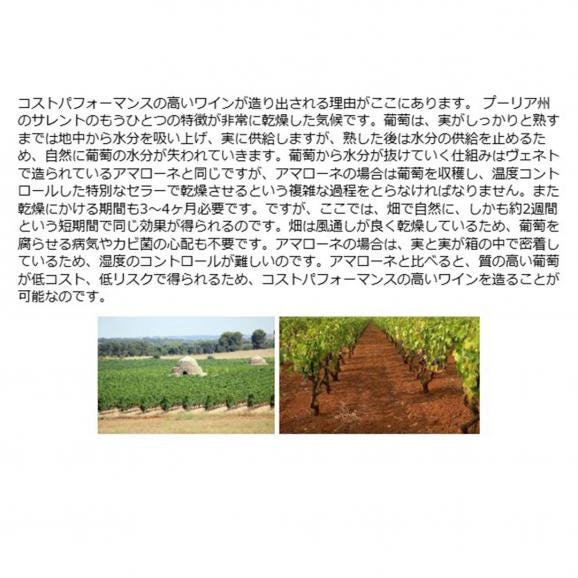 NV トレ イコーネ 750ml ヴィニエティ デル サレント／ファルネーゼ イタリア 赤ワイン コク辛口 ^FOVSICZ0^03