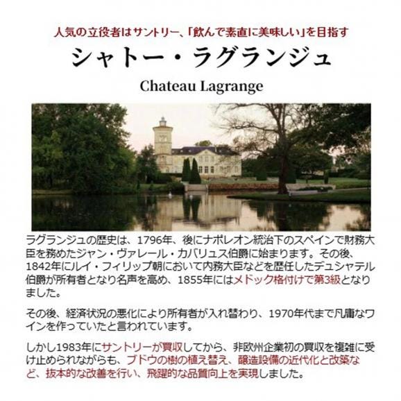 2022 レ ザルム ド ラグランジュ 750ml AOCボルドー ボルドー フランス 白ワイン コク辛口 ワイン ^ACLG1122^02