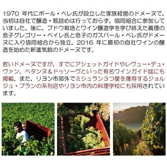 2022 ブルゴーニュ ピノノワール レ コルベゾン 750ml ドメーヌ ラ ルナルド 赤ワイン コク辛口 ワイン ^B0ORCO22^03
