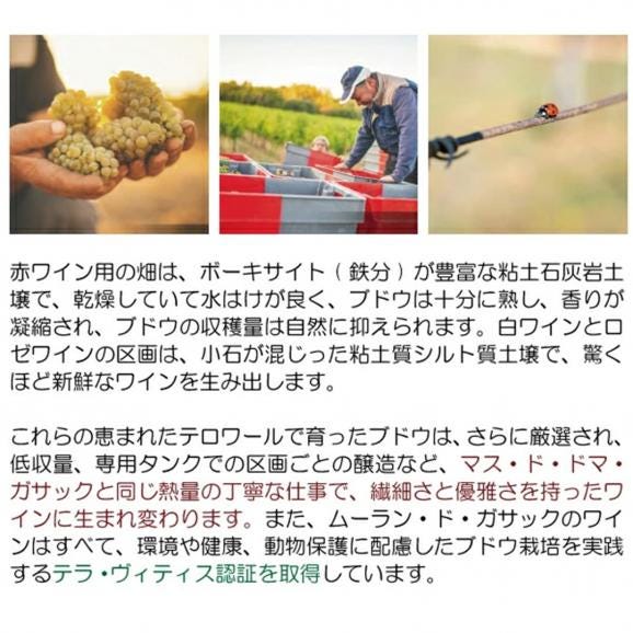 2024 マス ド ドマ ガサック ブラン IGP サン ギレーム ル デゼール 750ml マス ド ドマ ガサック 南仏 白ワイン コク辛口 ^D0SAGB24^03