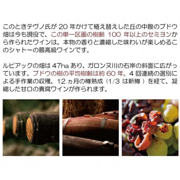 2023 シャトー デュ クロ ハーフ 375ml AOC ルピアック ボルドー フランス 貴腐 白ワイン コク極甘口 ワイン ^ANOS23GD^03