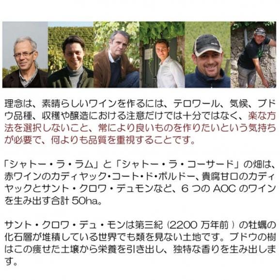 2022 シャトー ラ ラム グルマンディーズ ハーフ 375ml AOC サント クロワ デュ モン ボルドー フランス 貴腐 白ワイン コク極甘口 ワイン ^ANRC23GC^03