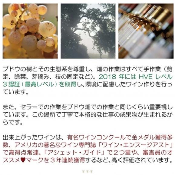 2022 シャトー ラ ラム グルマンディーズ ハーフ 375ml AOC サント クロワ デュ モン ボルドー フランス 貴腐 白ワイン コク極甘口 ワイン ^ANRC23GC^04
