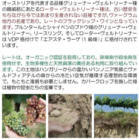 2024 ローター ヴェルトリーナー クラシック 750ml フェルトリーナー レート オーストリア 白ワイン コク辛口 ワイン ^KBLT0124^03