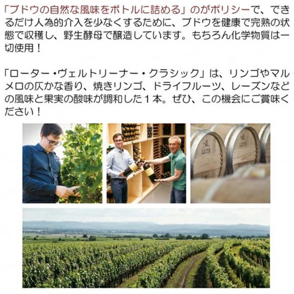 2024 ローター ヴェルトリーナー クラシック 750ml フェルトリーナー レート オーストリア 白ワイン コク辛口 ワイン ^KBLT0124^04