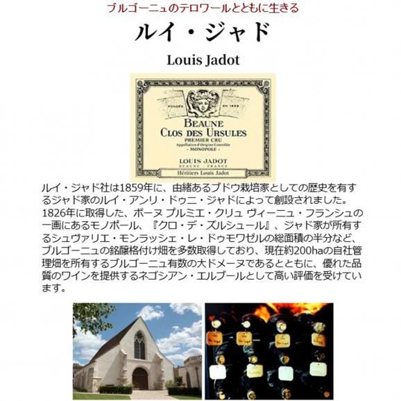 2023 ブルゴーニュ ルージュ ピノ ノワール 750ml ルイ ジャド ブルゴーニュ フランス 赤ワイン コク辛口 ワイン ^B0JLPN23^02