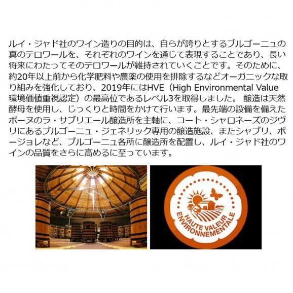 2023 ブルゴーニュ ルージュ ピノ ノワール 750ml ルイ ジャド ブルゴーニュ フランス 赤ワイン コク辛口 ワイン ^B0JLPN23^03