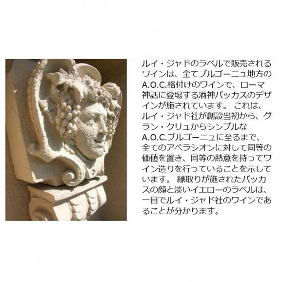 2023 ブルゴーニュ ルージュ ピノ ノワール 750ml ルイ ジャド ブルゴーニュ フランス 赤ワイン コク辛口 ワイン ^B0JLPN23^05