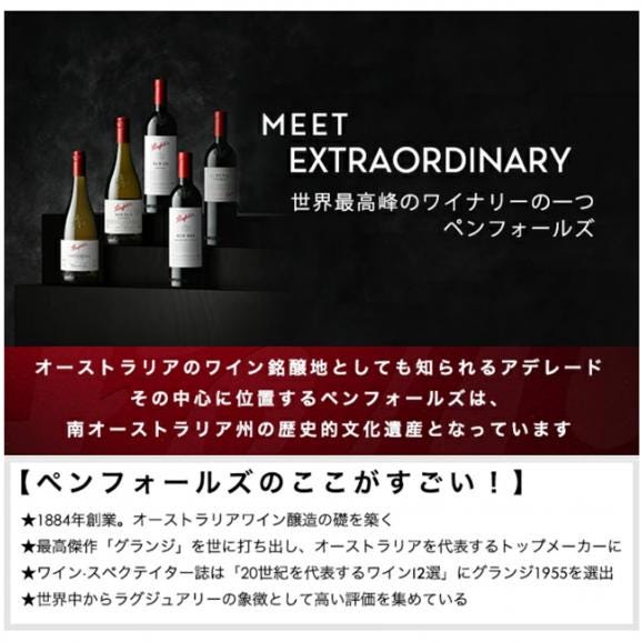 ペンフォールズ 2023 ビン 28 シラーズ 750ml オーストラリア 赤ワイン コク辛口 ワイン ペンフォールド ^RAODBS23^02