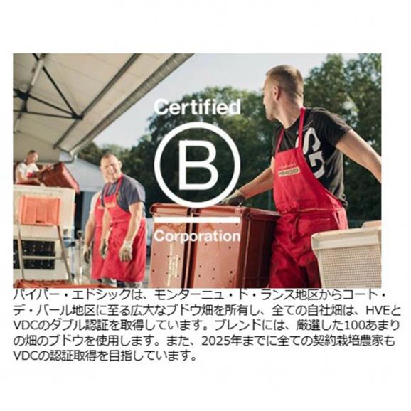 パイパー エドシック ブリュット マリリン モンロー リミテッド エディション 箱なし 正規品 750ml シャンパーニュ 白泡 コク辛口 ワイン ^VAPH52Z0^03