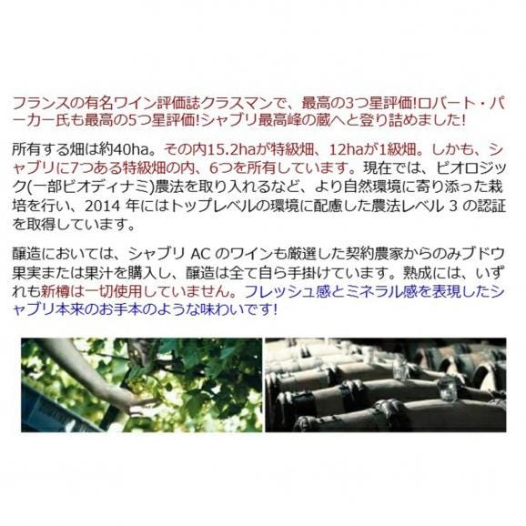 2024 シャブリ 750ml メゾン ウィリアム フェーブル ブルゴーニュ フランス 白ワイン コク辛口 ワイン ^B0WFCB24^03