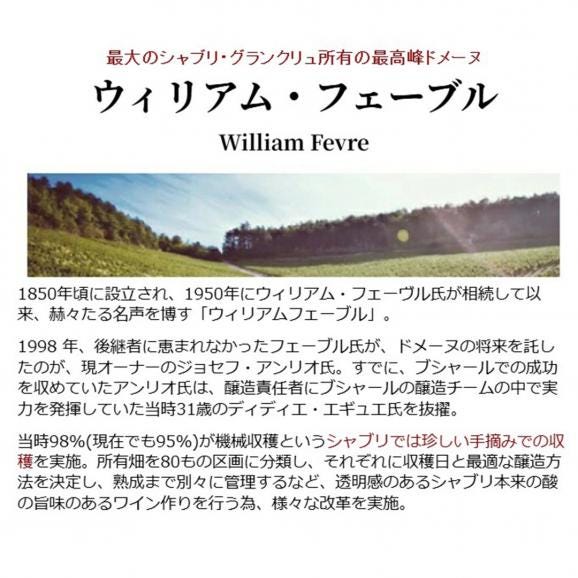 2024 シャブリ ハーフ 375ml メゾン ウィリアム フェーブル ブルゴーニュ フランス 白ワイン コク辛口 ワイン ^B0WFCBGE^02
