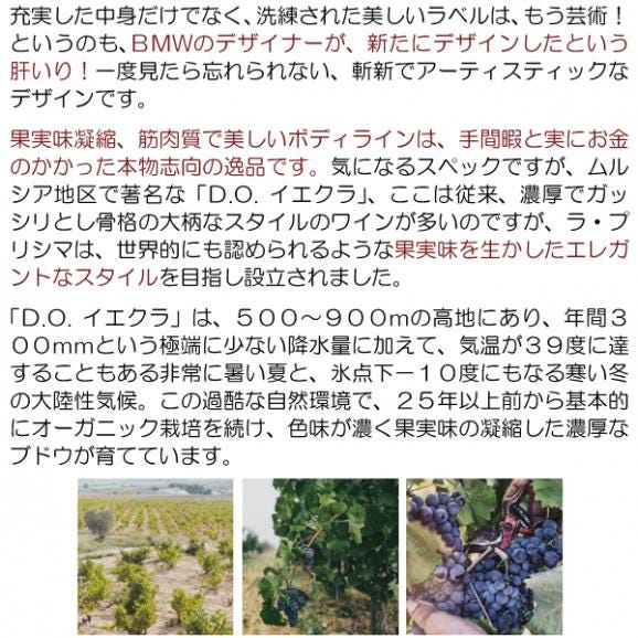2024 カーサ センダ デル モリノ マカベオ ソーヴィニヨン ブラン 750ml ボデガス ラ プリシマ スペイン 白ワイン コク辛口 ^HJPUMM24^03