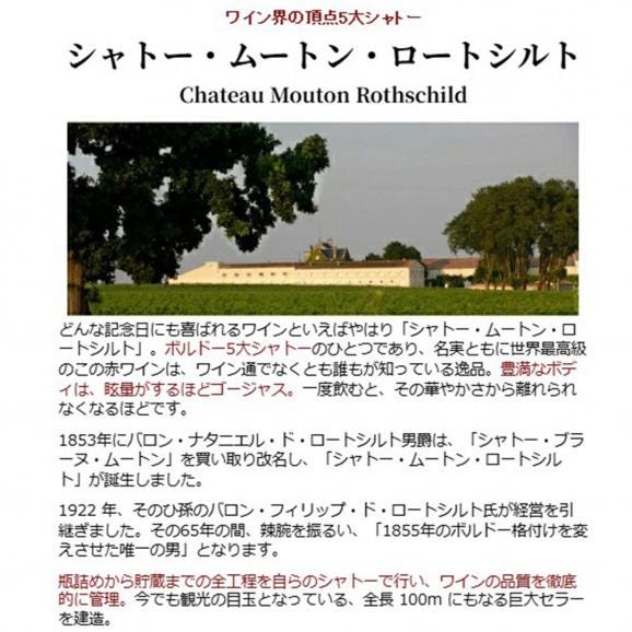 2013 シャトー ムートン ロートシルト 750ml ポイヤック第１級 ボルドー フランス 赤ワイン コク辛口 ワイン ^ABMR0113^02