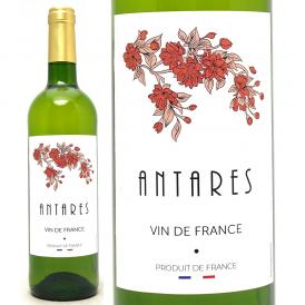  アンタレス ブラン IGP アトランティック 750ml フランス 白ワイン コク辛口 ワイン ^D0ASFBZ0^